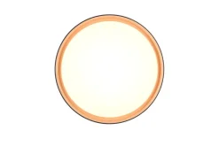 Sisustusvalaisimet^Trio Lighting LED kattovalaisin Felis 40 cm musta/kulta