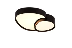 Sisustusvalaisimet^Trio Lighting LED kattovalaisin Rise 43 cm mattamusta