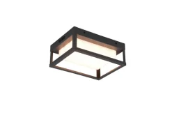 Ulkovalaisimet^Trio Lighting LED seinävalaisin Witham antrasiitti