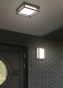 Ulkovalaisimet^Trio Lighting LED seinävalaisin Witham antrasiitti