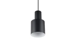 Sisustusvalaisimet^Trio Lighting riippuvalaisin Agudo 1-os E27 mattamusta