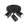 Sisustusvalaisimet^Trio Lighting spottivalaisin Angelo H2O 3-os GU10 mattamusta