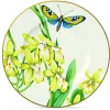 Astiat^Villeroy&Boch Amazonia Lautanen 16cm