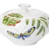 Tarjoilu^Villeroy&Boch Amazonia Sokerikko 0,35l