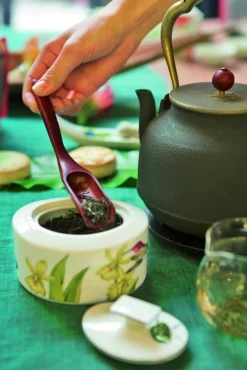 Tarjoilu^Villeroy&Boch Amazonia Sokerikko 0,33l