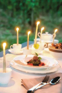 Astiat^Villeroy&Boch Anmut Platinum Lautanen 27cm