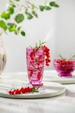 Astiat^Villeroy&Boch Boston juomalasi 162 mm 0,3 l Berry