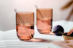 Astiat^Villeroy&Boch Like Juomalasisetti 8x12 cm 0,39l Clay 2-os.