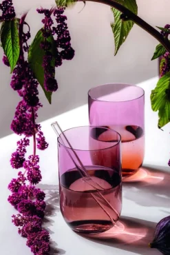 Astiat^Villeroy&Boch Like Juomalasisetti 8x12 cm 0,39l Grape 2-os.