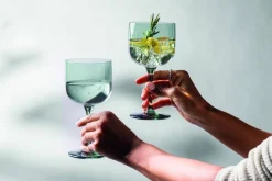 Astiat^Villeroy&Boch Like Viinilasisetti 8,5x17 cm 0,27l Sage 2-os.