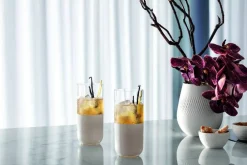 Astiat^Villeroy&Boch Manufacture Rock juomalasi 0,37 l 4-os. valkoi