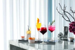 Astiat^Villeroy&Boch Manufacture Rock punaviinilasi 234 mm 0,2 l 4-