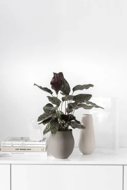 Maljakot Ja Ruukut^Villeroy&Boch Manufacture Collier vaasi 16,5x16,5x18 cm 2,64 L taupe perle