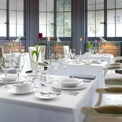 Astiat^Villeroy&Boch Maxima valkoviinilasi 240 mm 0,13 l 4-os.