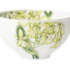 Astiat^Villeroy&Boch muut Amazonia kulho 13 cm