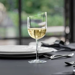 Astiat^Villeroy&Boch NewMoon Crystal valkoviinilasisetti 0,3 l 4-os.