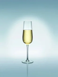 Astiat^Villeroy&Boch Rose Garden samppanjalasisetti 4 kpl 250 mm 0,12l