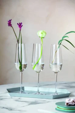 Astiat^Villeroy&Boch Rose Garden samppanjalasisetti 4 kpl 250 mm 0,12l