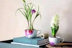 Astiat^Villeroy&Boch Rose Garden aamiaiskuppi 0,45l