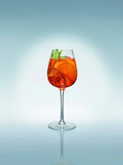 Astiat^Villeroy&Boch Rose Garden punaviinilasisetti 4 kpl 230 mm 0,2l