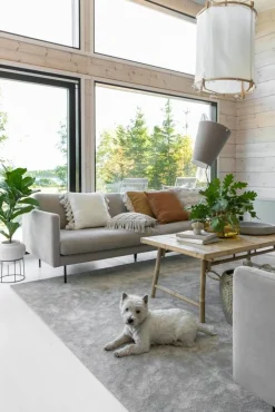 Keskilattiamatot^VM-Carpet Hattara 49 beige, 200*300 cm