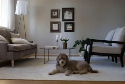 Keskilattiamatot^VM-Carpet Hattara 30 valkoinen,  160*230 cm