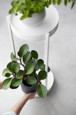 Huonekalut^Yamazaki sivupöytä Tower pyörillä valkoinen